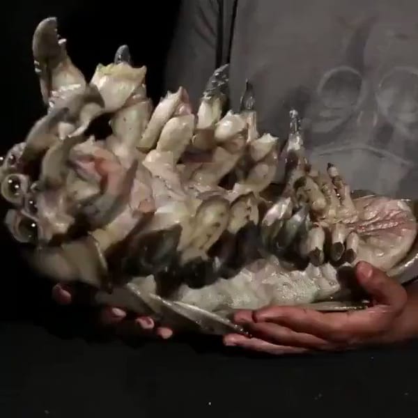 El arte práctico de Guillermo del Toro: La fascinante marioneta animatrónica de 'Pacific Rim' que impresiona en la era de la IA