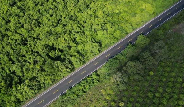 Concluye la rehabilitación de la carretera Álamo-Tihuatlán con inversión superior a 100 MDP