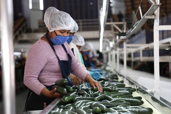 Sinaloa sufre la peor contracción económica de México golpeada por la violencia y la sequía